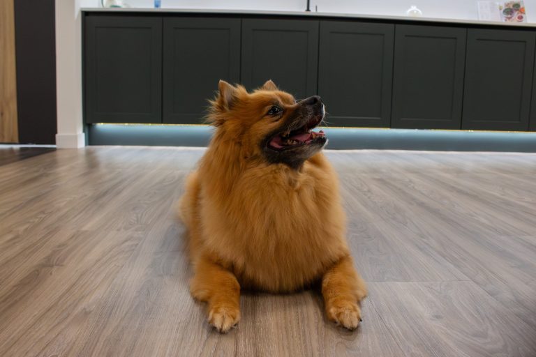 IMG_6686-Enhanced-NR-scaled