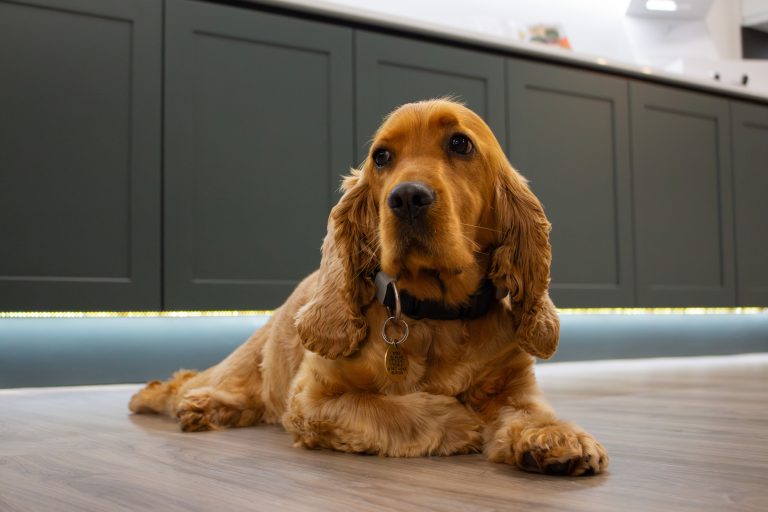 IMG_6707-Enhanced-NR-scaled