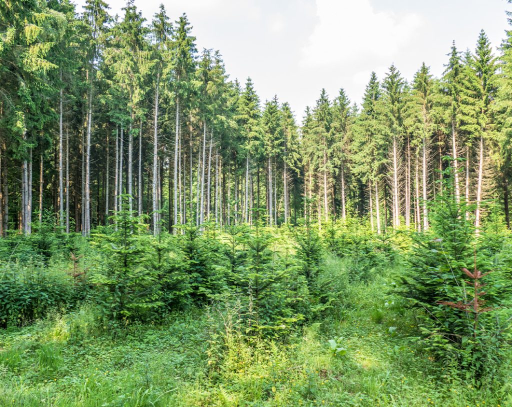 TKD_About-Us_Quick-Link-Block_1061x843px_02